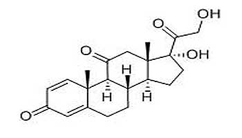 Prednisone | CAS53-03-2