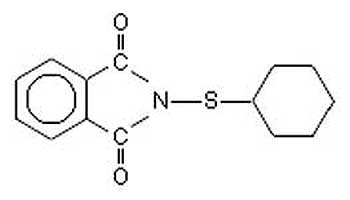 Antiscorching agent CTP (PVI) (powder) | CAS17796-82-6